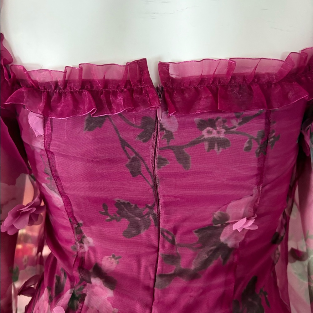 DollsKill | Sugar Thrills Y2K 3-D floral Appliqué Sheer Overlay Mini Dress - Picture 6 of 6